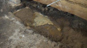 Подготовка земли. Ношу песок.Посев.