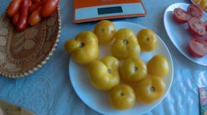 ТОМАТ ДЖАЛО САНТА. 2020 .