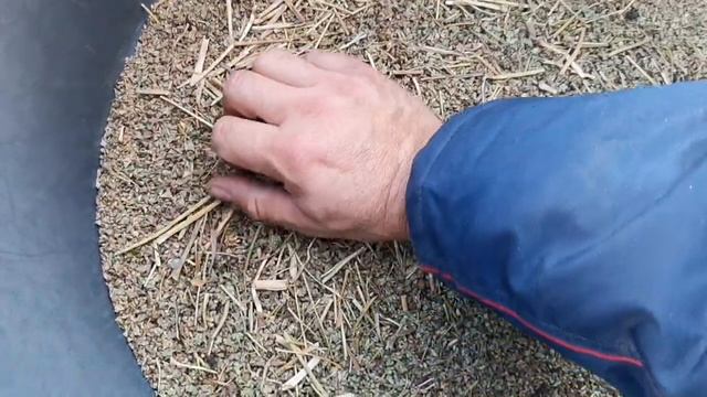 Раскрываю СЕКРЕТ! Очистить семена окончательно можно
