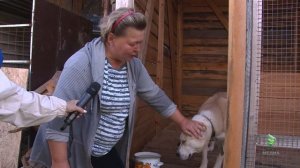 2025.08.Мегион День бездомных животных