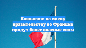 Кошкович: на смену правительству во Франции придут более опасные силы