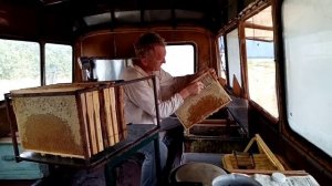 Распечатка медовых рамок