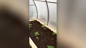 Трубогиб Т-34.  Сделал теплицу своими руками и сэкономи?