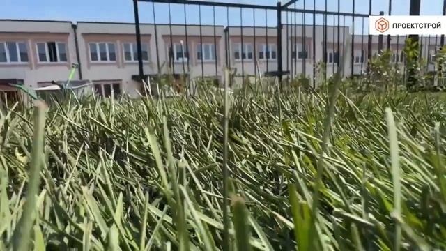 Укладка рулонного газона. Проектстрой. смотреть онлайн