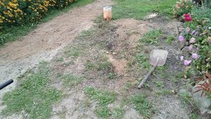 Всё в наших руках, хочешь красоту-делай сама!😉