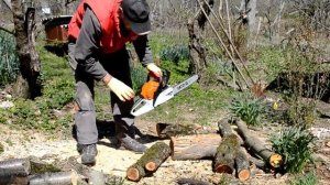 Почему бензопила заводится, потом сама газует и глохн?