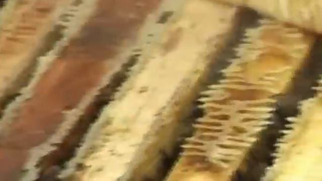 Пчеловодство.Норвежский метод зимовки смотреть онлайн