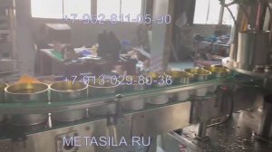 Линия упаковки овощного рагу в железные банки FNK-789