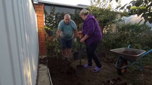 463ч Посадили яблоню сорт Фуджи/Жизнь на юге после пере?