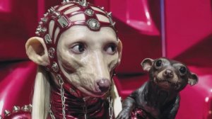 Аналогичность