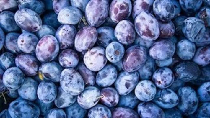 Слива. Маринкины творинки. Всем МИРА и Добра!