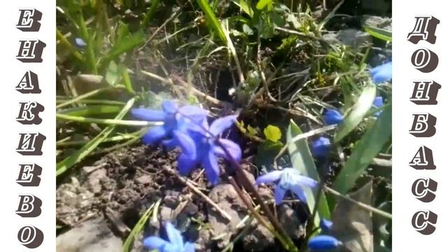 "Дачные истории | Грядка с зеленью готова!" 26.03.2023. смотреть онлайн