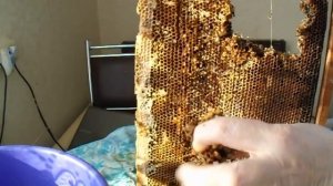 Перга пчелиная Приготовление медово перговой пасты