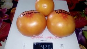 Томат Золотой марципан Marzipan Gold