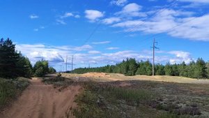 КАНАДСКИЙ БОРОВИК | В ПОИСКАХ ВКУСНЫХ ГРИБОВ | ПОХОД В ?