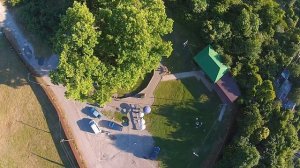 Тюльпановое дерево