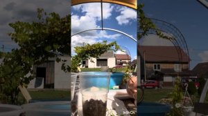 Остики. Черенкование . Остеоспермум