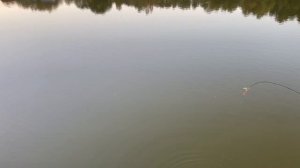 1000110233.mp4