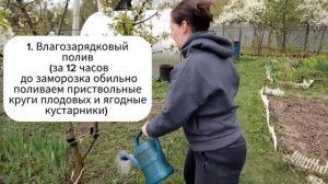 Как защитить свои плодовые деревья от заморозков весн