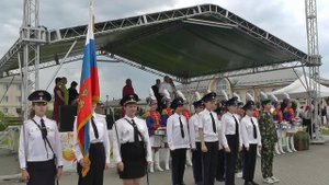 Соратникам Стражей Отечества было доверено право вносить знамена на Дне России в Вятском Посаде, г.