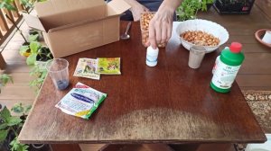 ОБРАБОТКА И ПОСАДКА ЛУКА