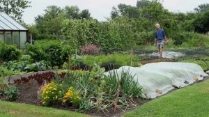 Выращивает урожай БЕЗ ЛОПАТЫ в саду на 40 соток