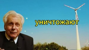 Как лечить грибок по методу Неумывакина — простые сре