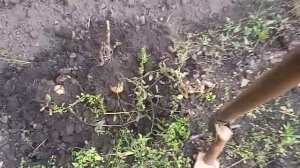 испытание чудо-лопаты.