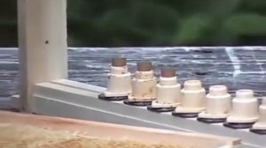 Система Никот для вывода качественных пчелиных маток