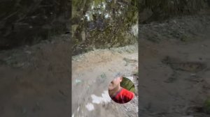 Кисловодск || Утренняя пробежка || Тропа Косыгина