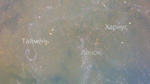 Рекламный ролик