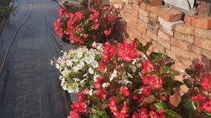 Осенний Сад