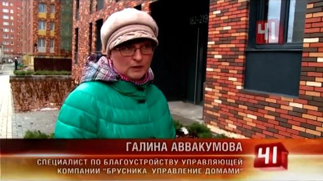 Воруют растения с клумбы