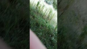 Спускаемся с дерева