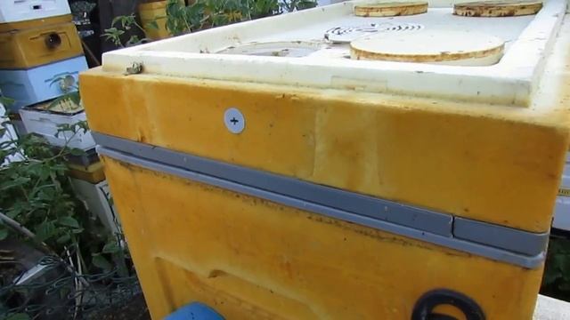 расположение летка в улье и разворовывание пчелами во смотреть онлайн