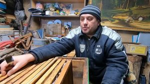✅ Топ 3 ульев у меня на пасеке! Пчеловод о пчелах! #пчел?