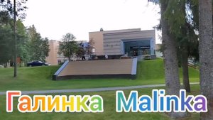 Деревенский дневник /Дайте миллионы на хозяйство /Обз?