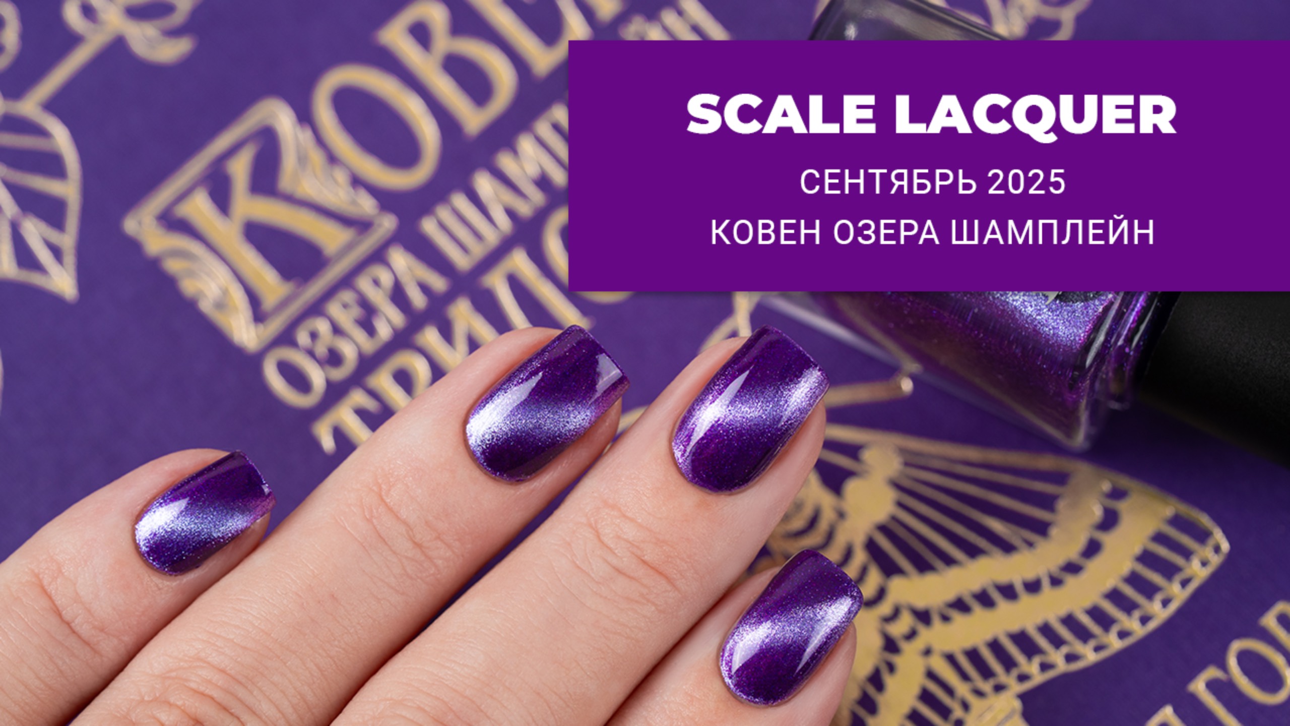 SCALE LACQUER Ковен Озера Шамплейн ||  сентябрь 2025 смотреть онлайн