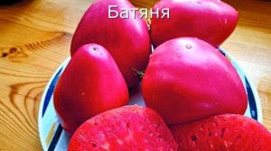 Лучшие 20 сортов томатов из 120 проверенных. Каталог сем?