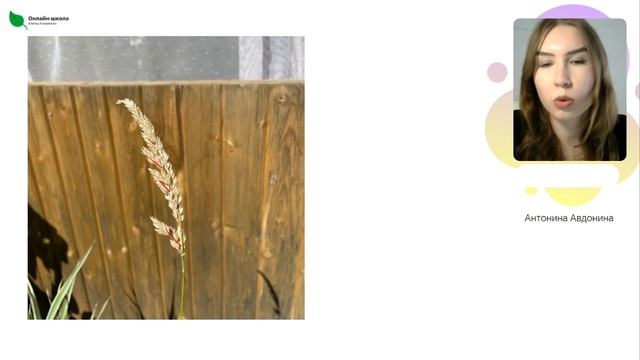 День 2. Генеративные органы растений – Марафон «Расте? смотреть онлайн