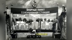 Как один агроном обманул Сталина и довёл страну до гол