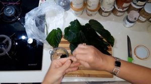 ферментированный чай из листьев шелковицы | полезный ?