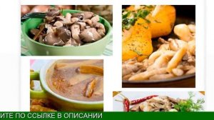 Опята, Трюфель, Подберезовики - Домашнее Выращивание