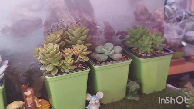 Мои СЕДУМЫ 2 часть. 10 августа 2025 г смотреть онлайн