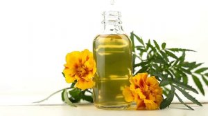 Что Делает БАРХАТЦЫ с Организмом ?!  Многие даже не зна?