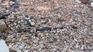 Лучшие материалы для отсыпки в ландшафтном дизайне