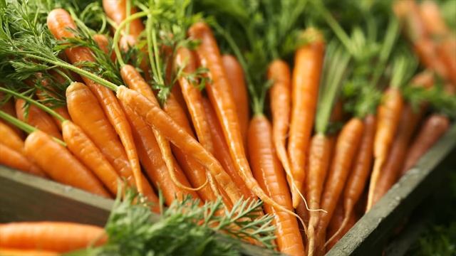 ТОП 5 причин посадить морковь! смотреть онлайн