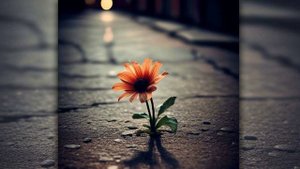 Нарисуй мне Небо (1)