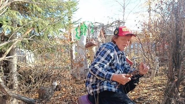 Как я боролась со старыми кустами жимолости