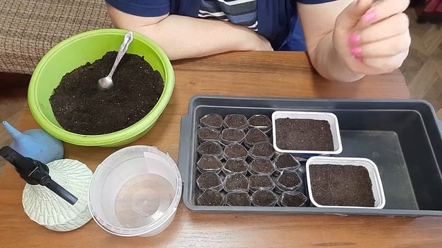 Открываю сезон👍💯  Посадка ПЕТУНИЙ🌸🌸🌸  Мой экспер смотреть онлайн